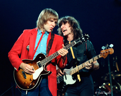 Melhores de Todos os Tempos: 1981