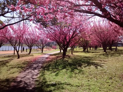 Guarapuava/PR – Sim, nós temos uma forte cena local