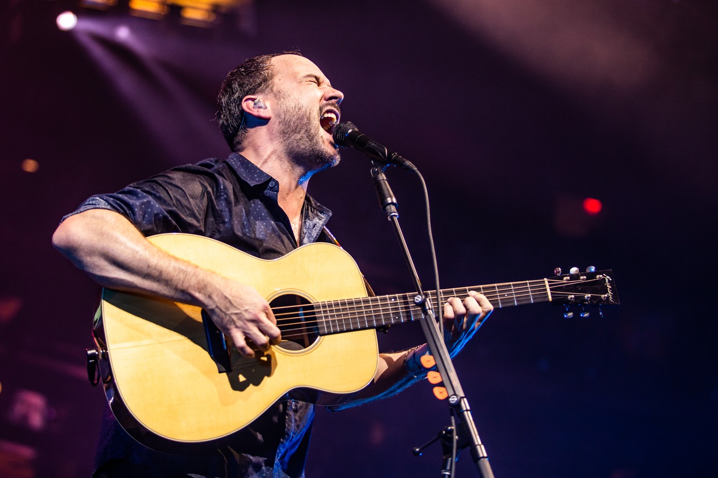 Notícias da Semana {9 a 15 de agosto}