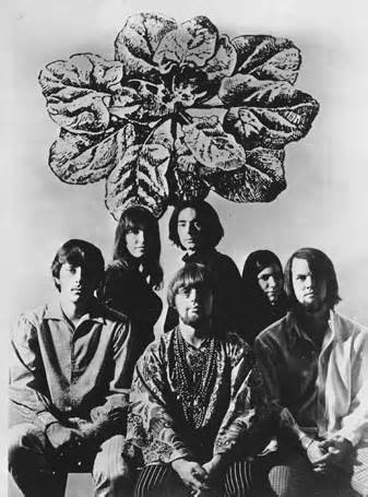 Tralhas do Porão: Ultimate Spinach