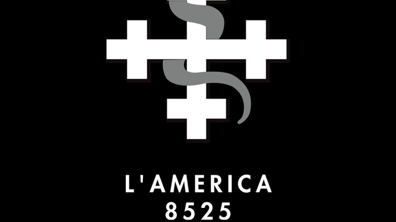 Notícias da Semana {3 a 9 de Novembro}