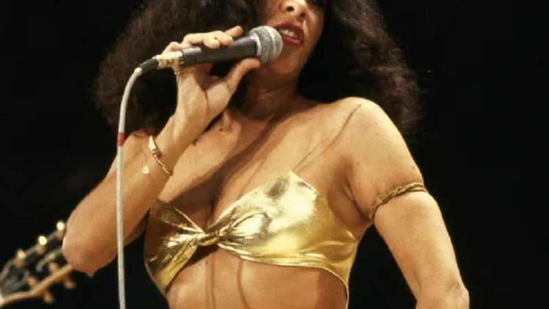 Cinco Músicas Para Conhecer: Gal Costa E O Frevo