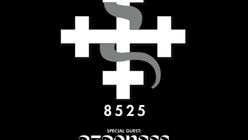 Notícias da Semana {26 de Janeiro a 1 de Fevereiro}